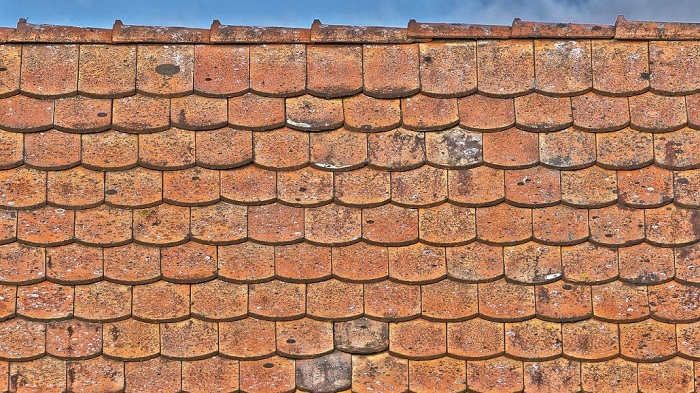 krovstvo